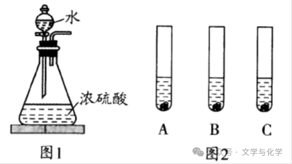 中考高分突破-科学探究题-3 第3张