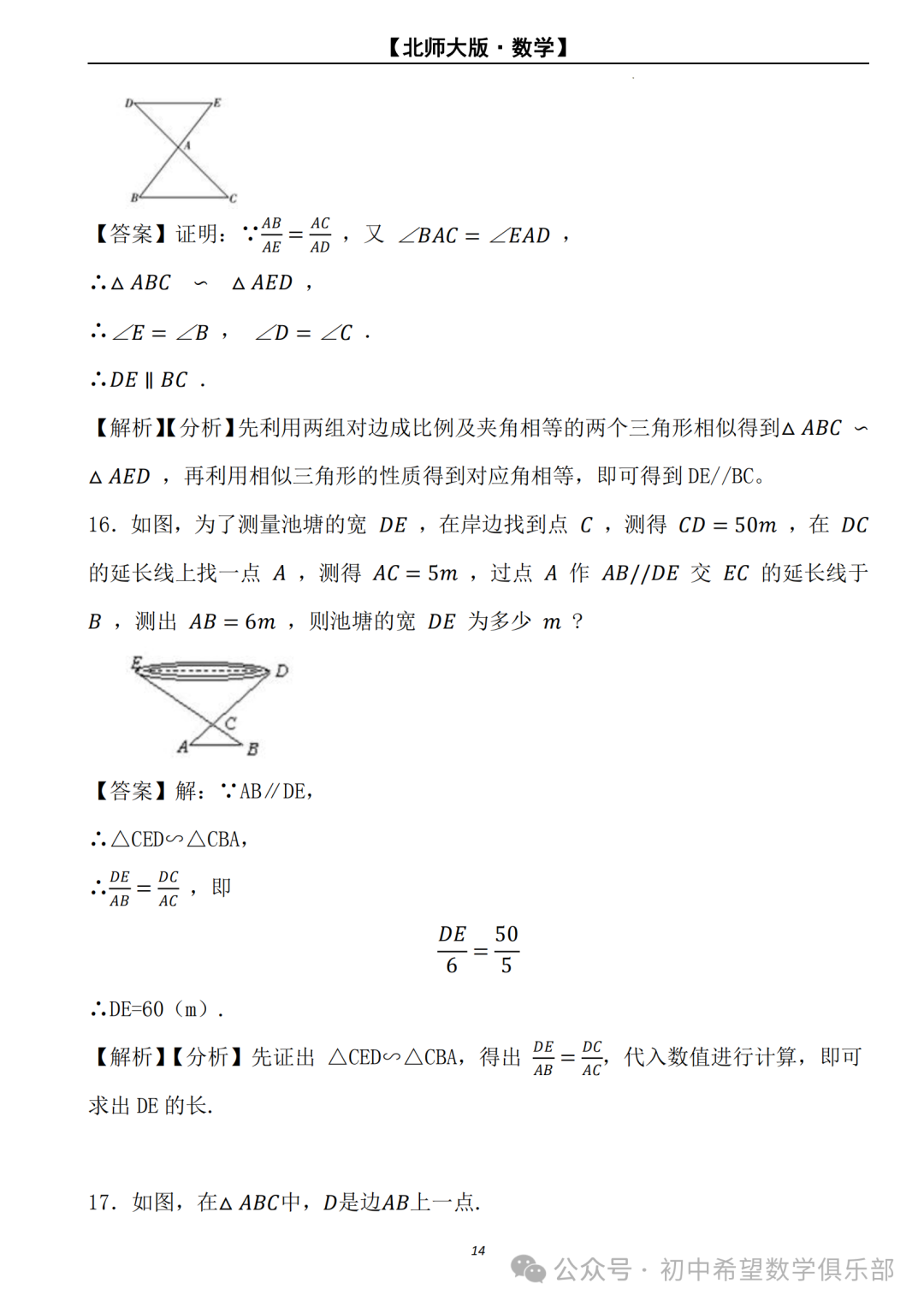 【2024年中考数学.北师大版】二轮复习---相似三角形的判定与性质 (解析) 第15张