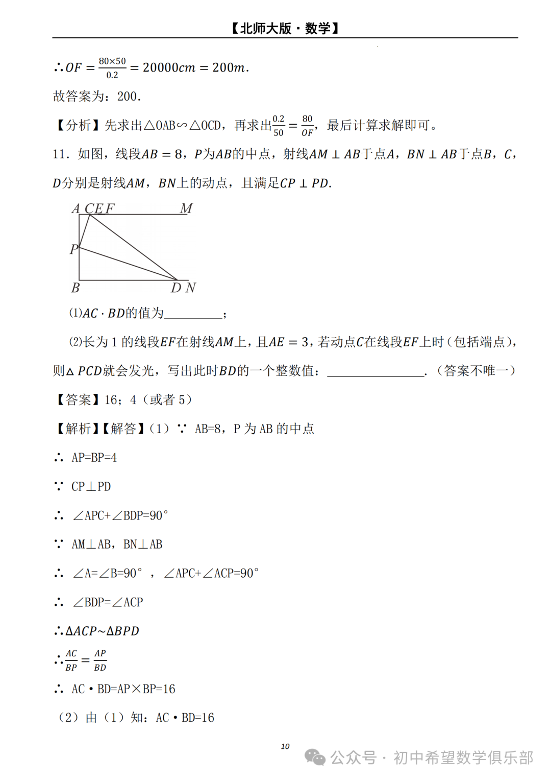 【2024年中考数学.北师大版】二轮复习---相似三角形的判定与性质 (解析) 第11张