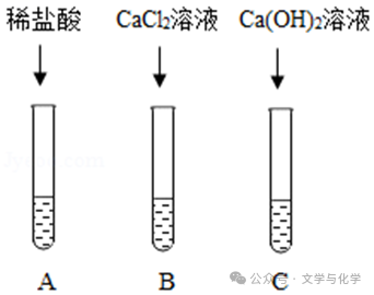 中考高分突破-科学探究题-3 第6张