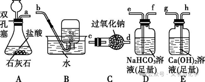 中考高分突破-科学探究题-3 第14张