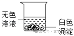 中考高分突破-科学探究题-3 第7张