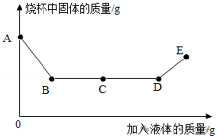 中考高分突破-科学探究题-3 第13张