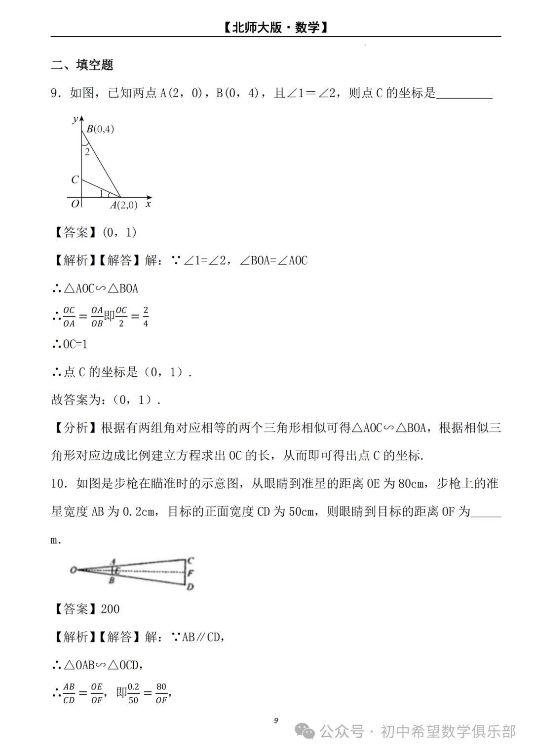 【2024年中考数学.北师大版】二轮复习---相似三角形的判定与性质 (解析) 第10张