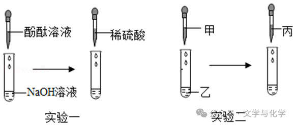 中考高分突破-科学探究题-3 第9张