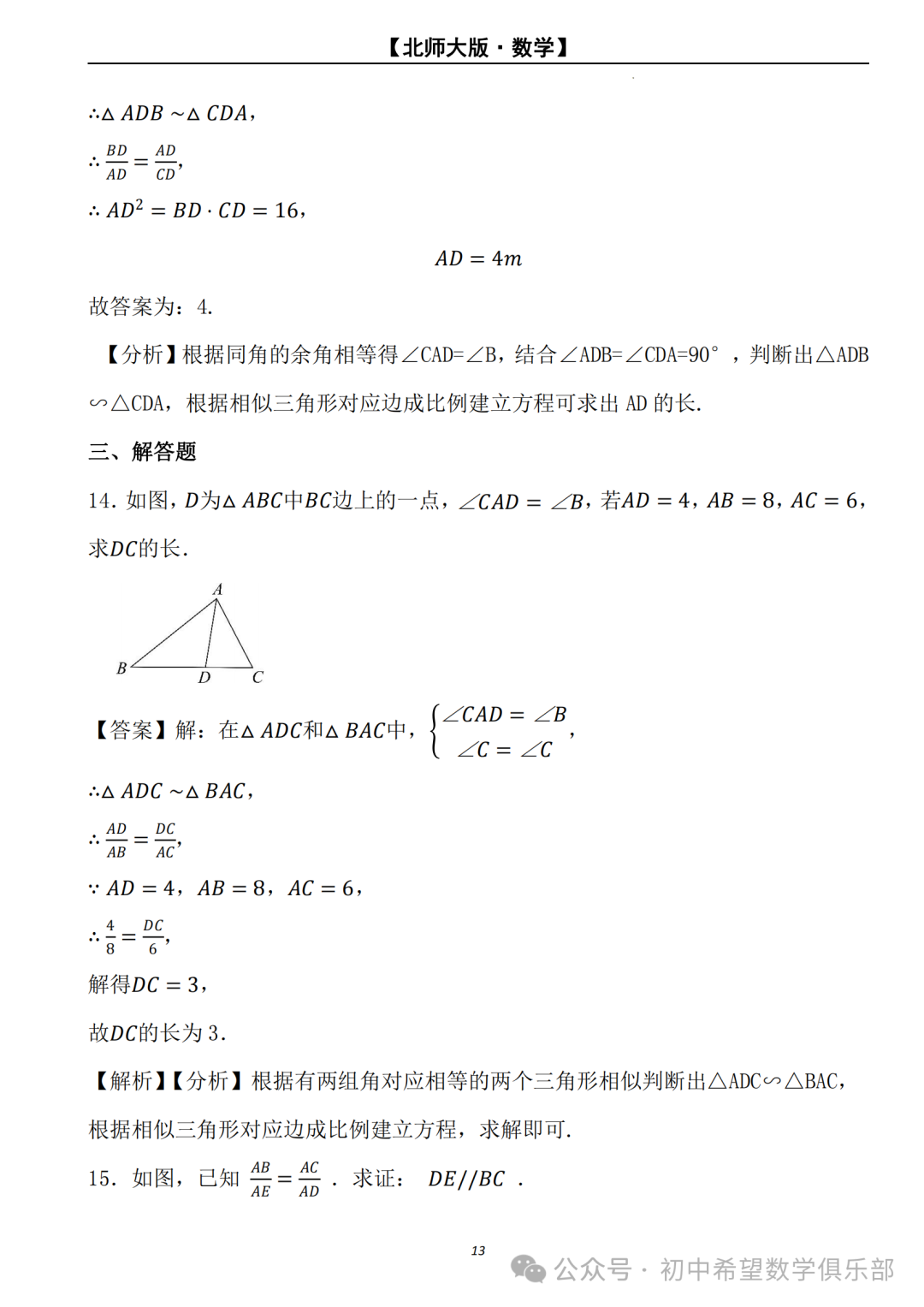 【2024年中考数学.北师大版】二轮复习---相似三角形的判定与性质 (解析) 第14张