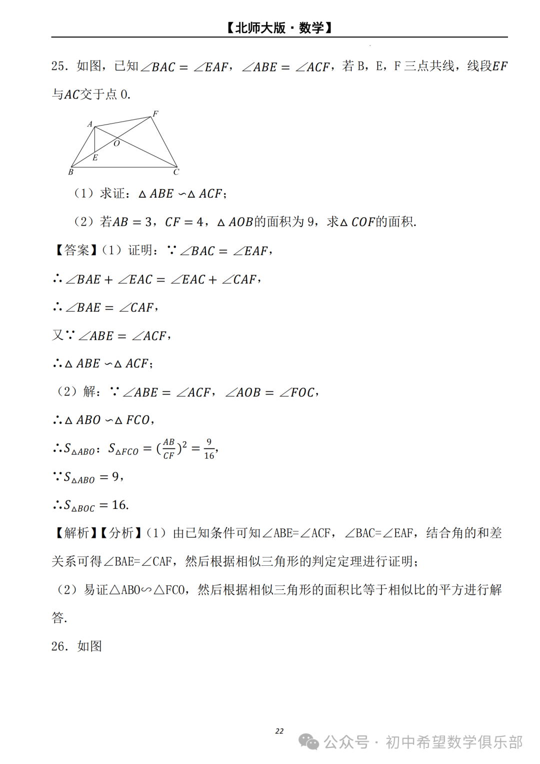 【2024年中考数学.北师大版】二轮复习---相似三角形的判定与性质 (解析) 第23张