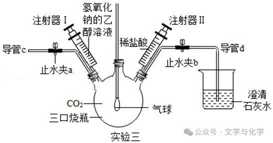 中考高分突破-科学探究题-3 第10张