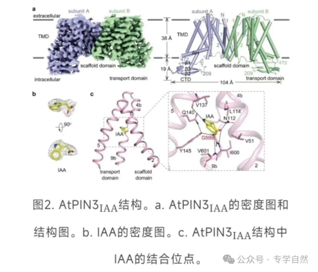 以高考命题情境指导高中生物学教学 第2张