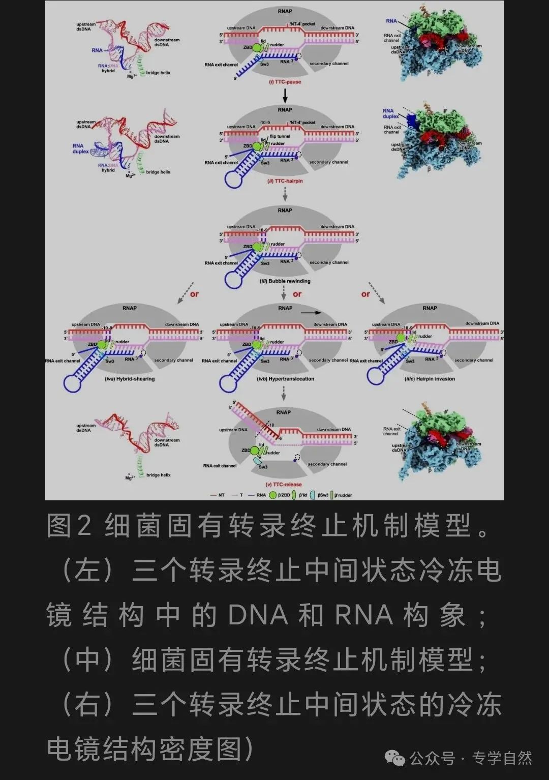 以高考命题情境指导高中生物学教学 第4张