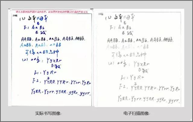 【揭秘陕西中考】阅卷规则原来是这样的! 第3张