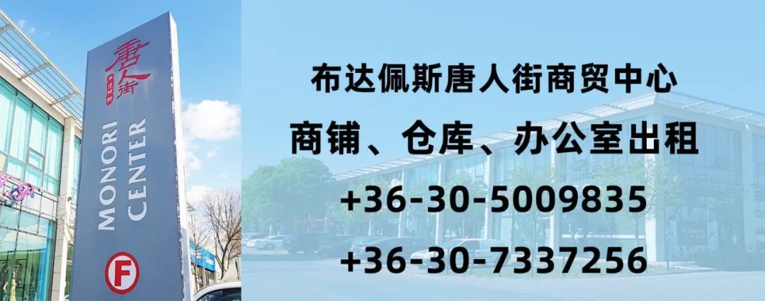 【罗兰大学丝路国学堂】5年级中考备考班、外语班、中文线上课、2024语言培训、春季课程安排 第21张