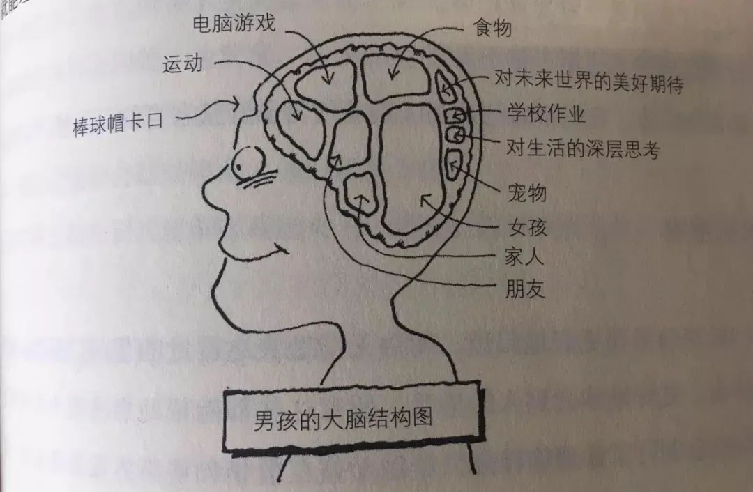 中考分流,淘汰是男孩?真相太扎心了! 第4张