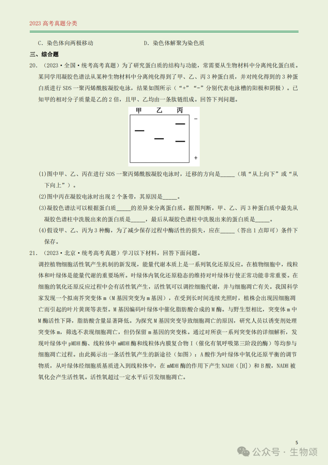 高考专题训练(打卡第1天) l 细胞的结构与分子组成 第5张