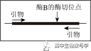 2023年北京市高考生物试卷+答案+解析 第11张