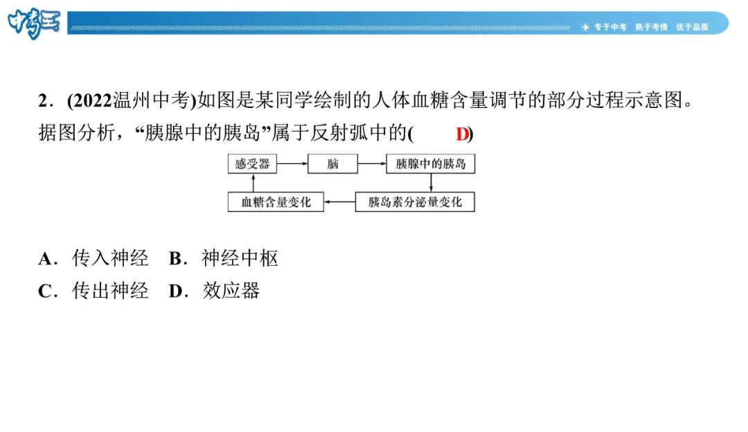 中考生物 | 冀少版重点题型攻略1识图题考点8人体生命活动的调节 第9张