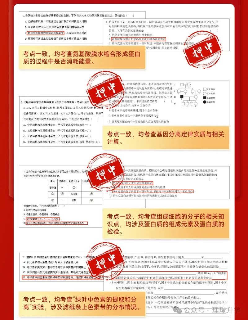 2024年王后雄高考押题卷预定火热进行中,早拍早发货! 第31张