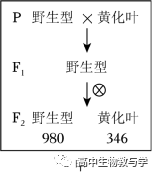 2023年北京市高考生物试卷+答案+解析 第10张