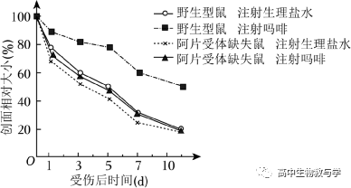 2023年北京市高考生物试卷+答案+解析 第5张