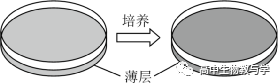 2023年北京市高考生物试卷+答案+解析 第6张