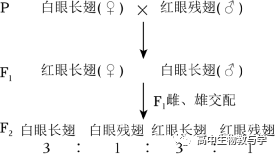 2023年北京市高考生物试卷+答案+解析 第3张