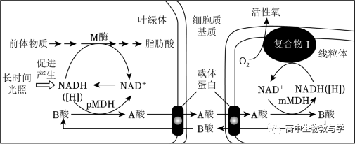 2023年北京市高考生物试卷+答案+解析 第13张