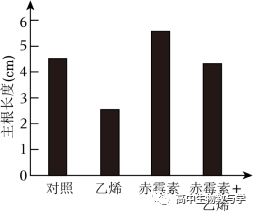 2023年北京市高考生物试卷+答案+解析 第4张