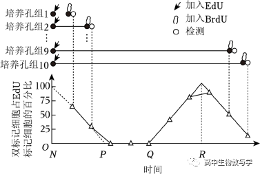 2023年北京市高考生物试卷+答案+解析 第14张