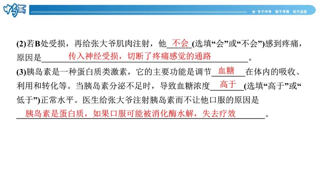 中考生物 | 冀少版重点题型攻略1识图题考点8人体生命活动的调节 第12张