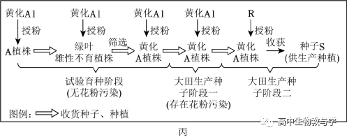 2023年北京市高考生物试卷+答案+解析 第12张