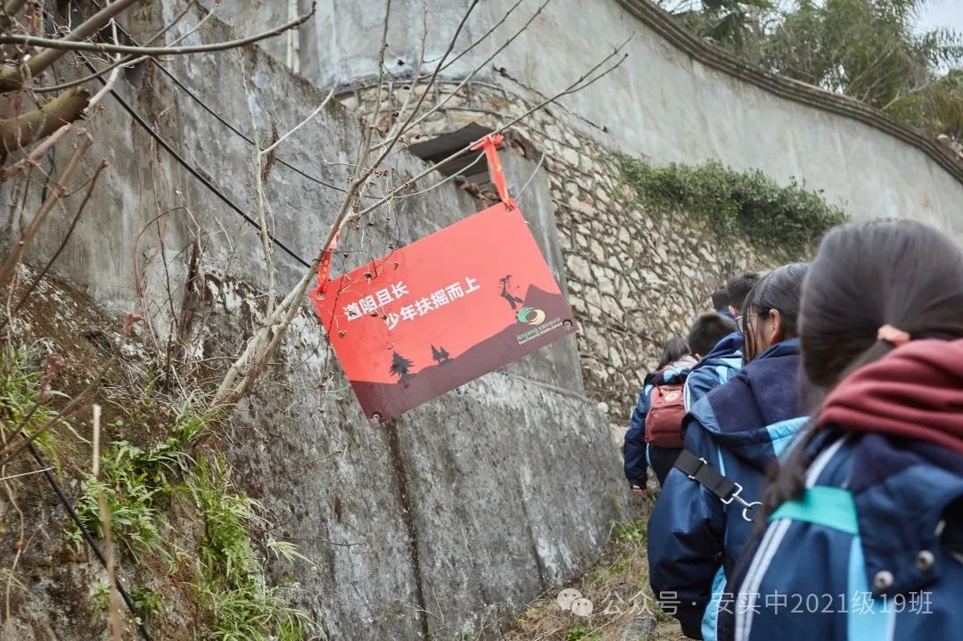 沧海登峰砺意志,中考逐梦展风华——沧海中队大罗山远足暨中考百日誓师活动小记 第36张