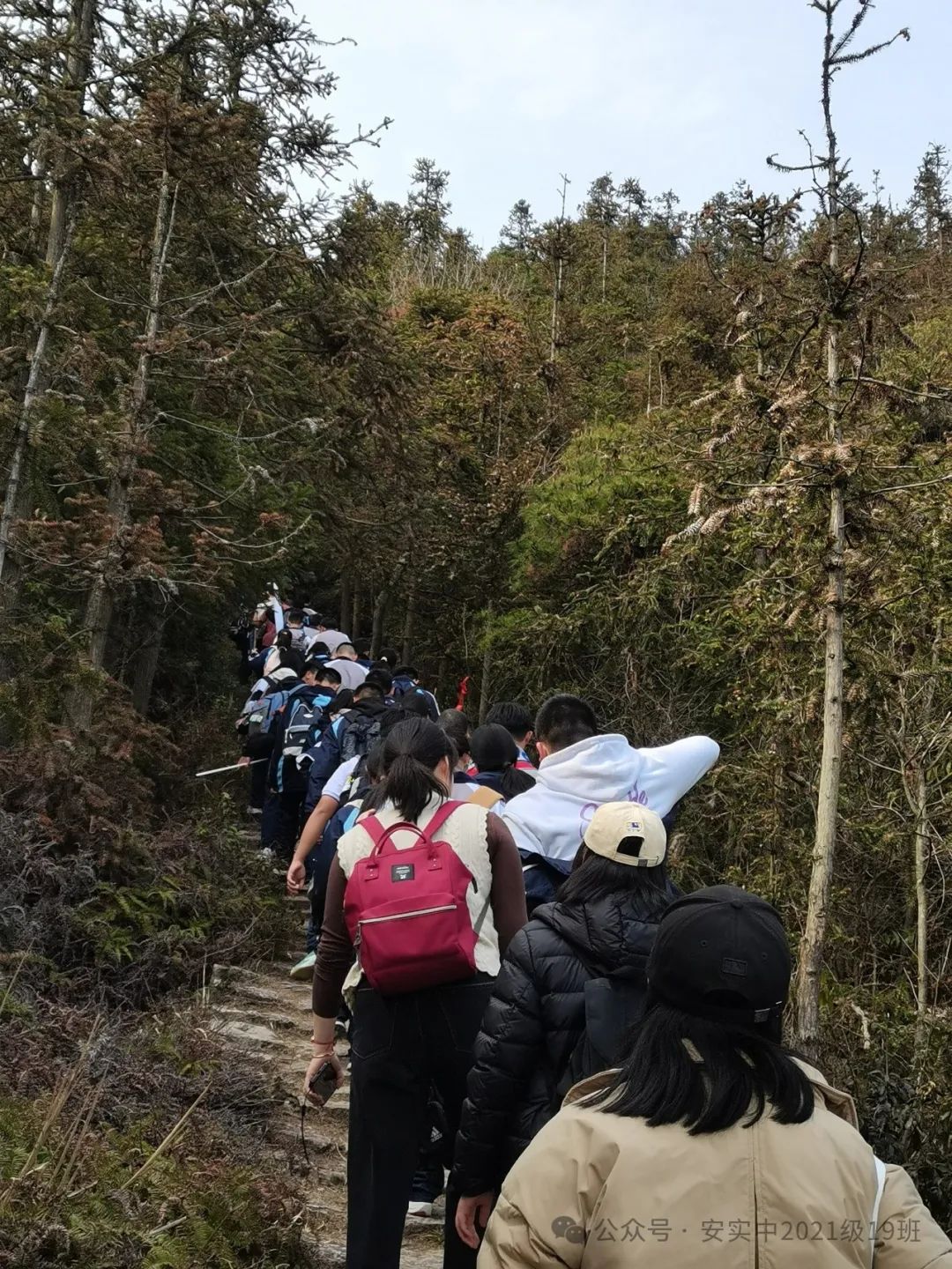 沧海登峰砺意志,中考逐梦展风华——沧海中队大罗山远足暨中考百日誓师活动小记 第111张