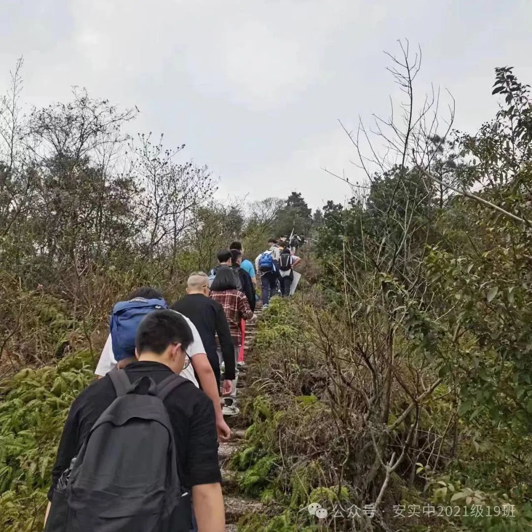 沧海登峰砺意志,中考逐梦展风华——沧海中队大罗山远足暨中考百日誓师活动小记 第45张