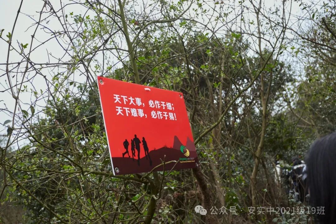 沧海登峰砺意志,中考逐梦展风华——沧海中队大罗山远足暨中考百日誓师活动小记 第40张