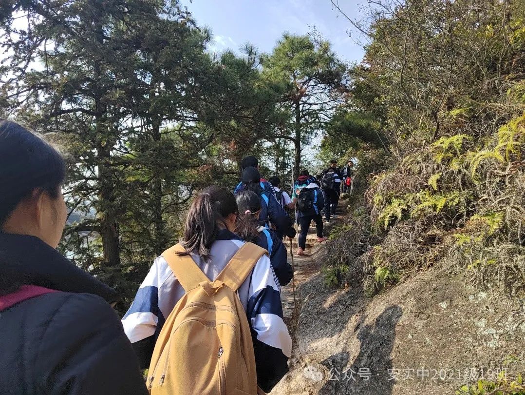 沧海登峰砺意志,中考逐梦展风华——沧海中队大罗山远足暨中考百日誓师活动小记 第131张