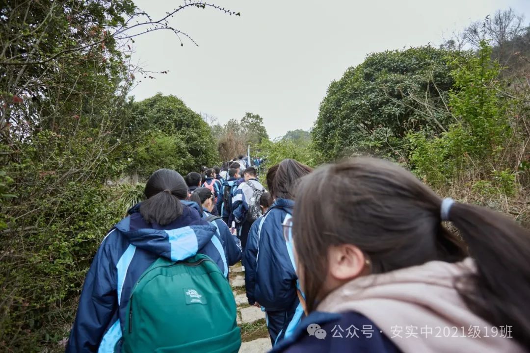 沧海登峰砺意志,中考逐梦展风华——沧海中队大罗山远足暨中考百日誓师活动小记 第43张