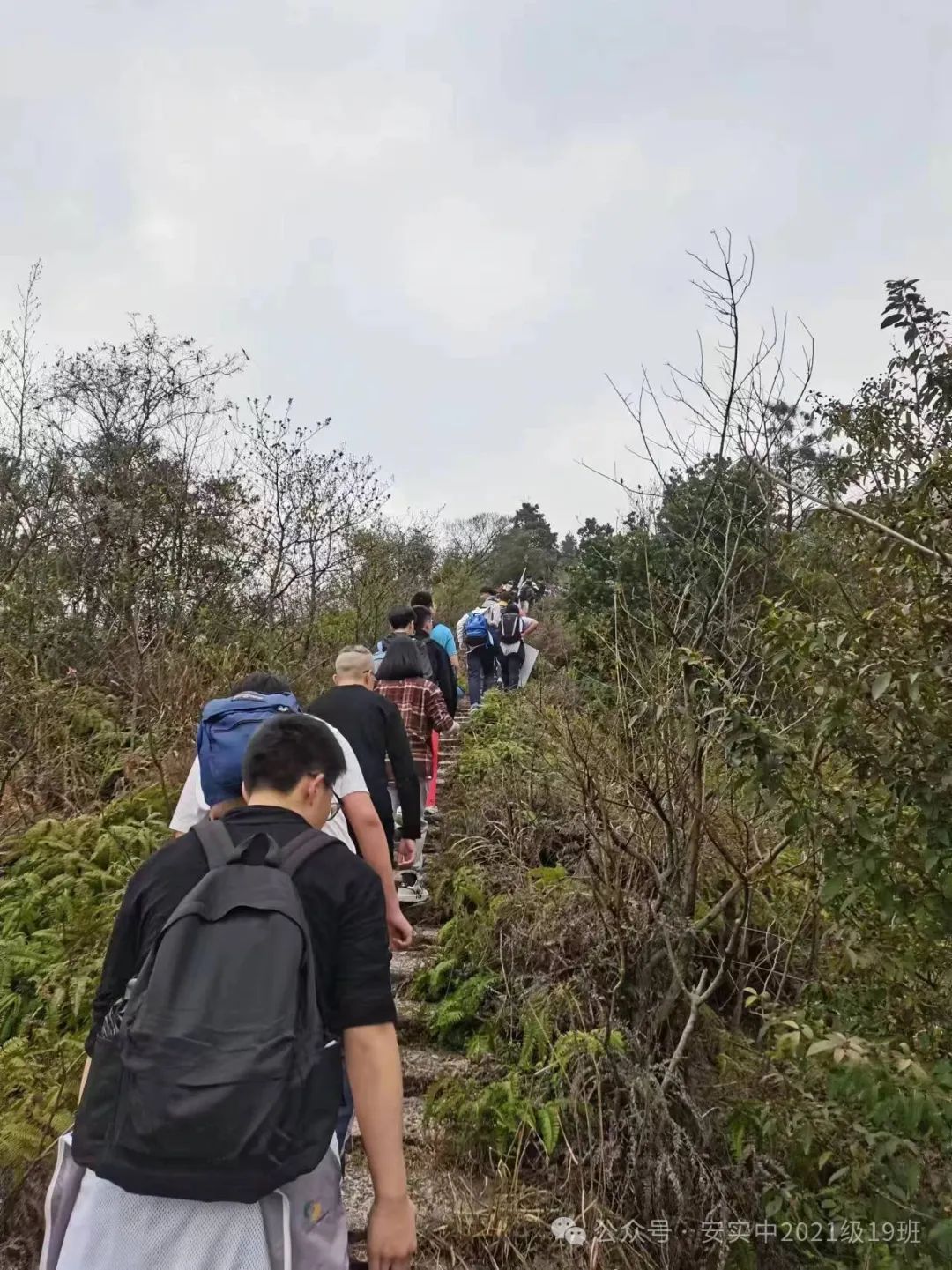 沧海登峰砺意志,中考逐梦展风华——沧海中队大罗山远足暨中考百日誓师活动小记 第42张