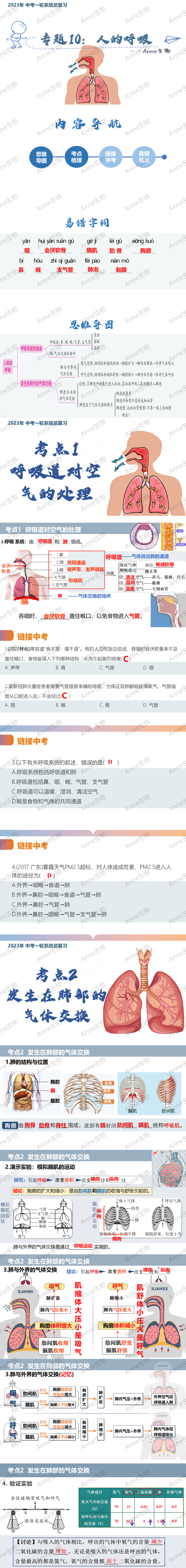 中考复习课件:人的呼吸 第1张