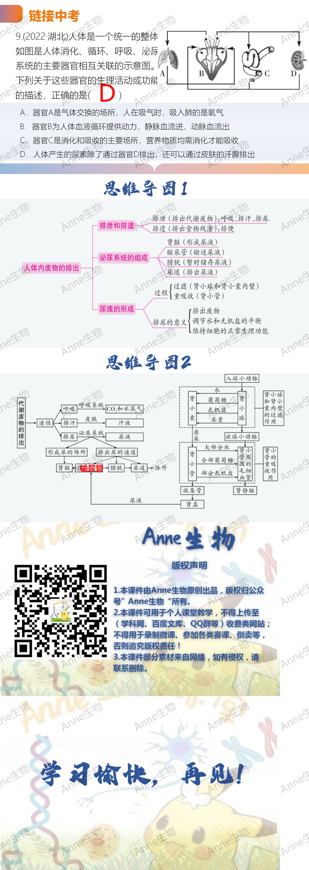 中考复习课件:人体内废物的排出 第3张