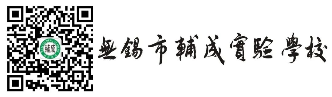 中考冲刺,六月圆梦:辅成实验学校2024届初三中考誓师大会 第28张