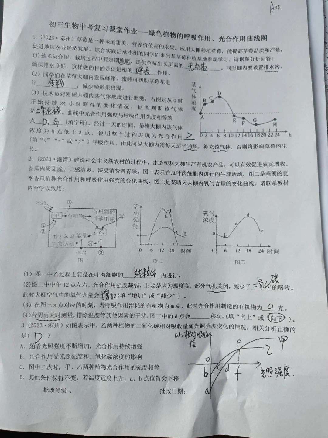 生物小中考复习课堂作业(初一下册合集) 第5张