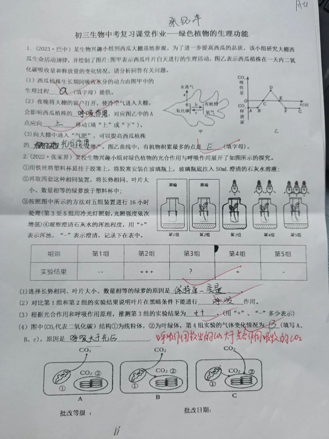 生物小中考复习课堂作业(初一下册合集) 第6张