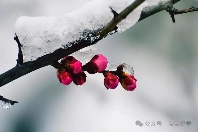 去年高考我儿子估分590,邻家女儿估分620,她妈得意洋洋,被打脸 第2张