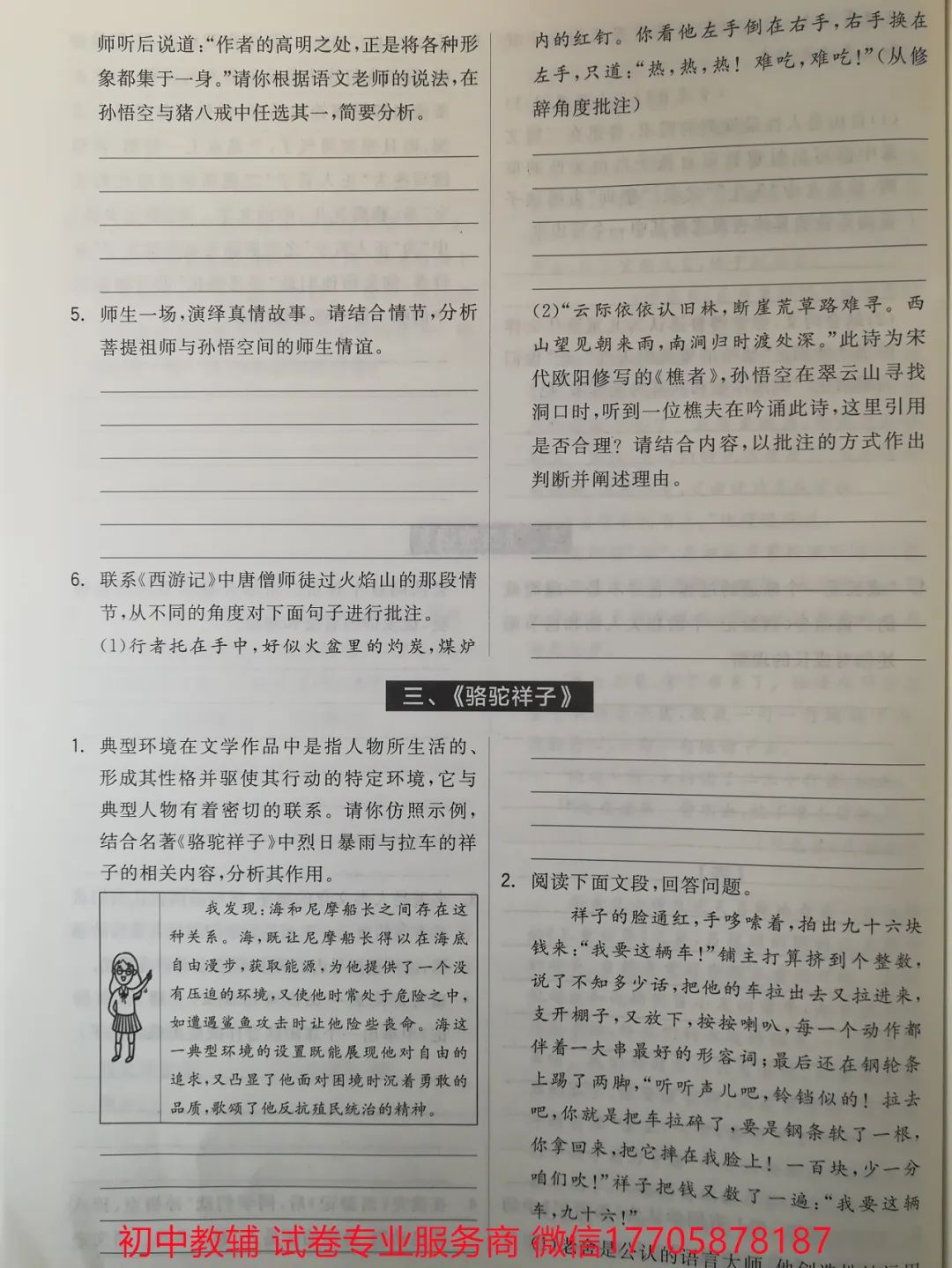 2024全品中考 复习方案 语文 第85张