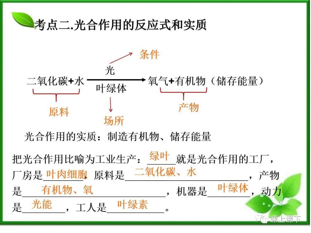 小中考复习课件7-----初一下绿色植物的光合作用 第4张