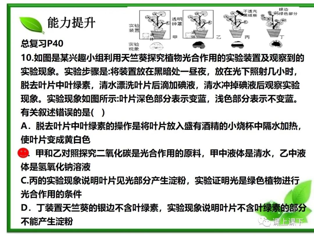 小中考复习课件7-----初一下绿色植物的光合作用 第29张