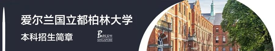 【新加坡·B战留学】孩子中考升学难,推荐新加坡留学,让他实现弯道超车! 第9张