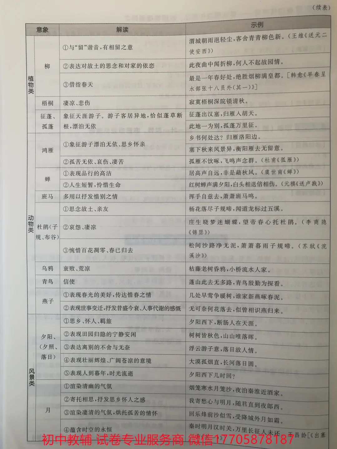 2024全品中考 复习方案 语文 第60张