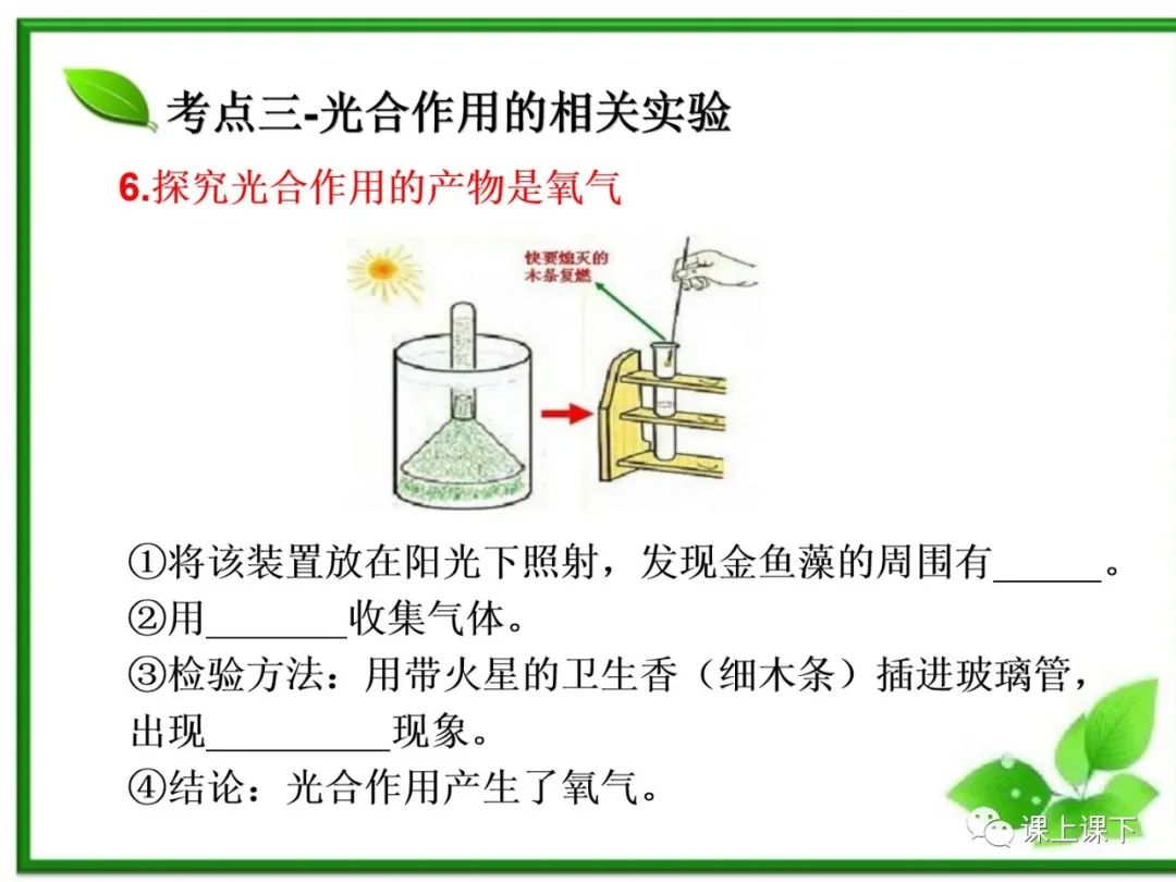 小中考复习课件7-----初一下绿色植物的光合作用 第17张