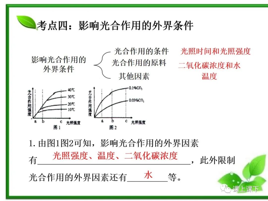 小中考复习课件7-----初一下绿色植物的光合作用 第22张